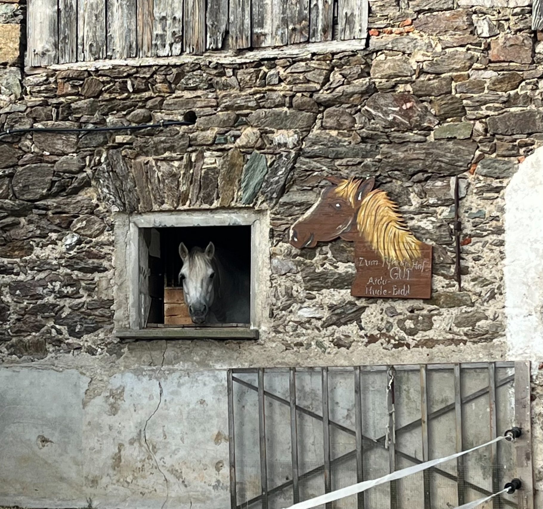 Onze paarden buurtjes